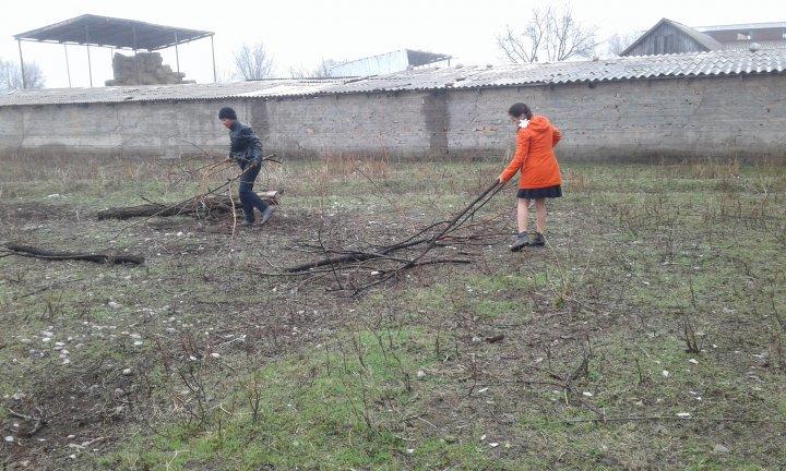  Халықаралық қарттар күні