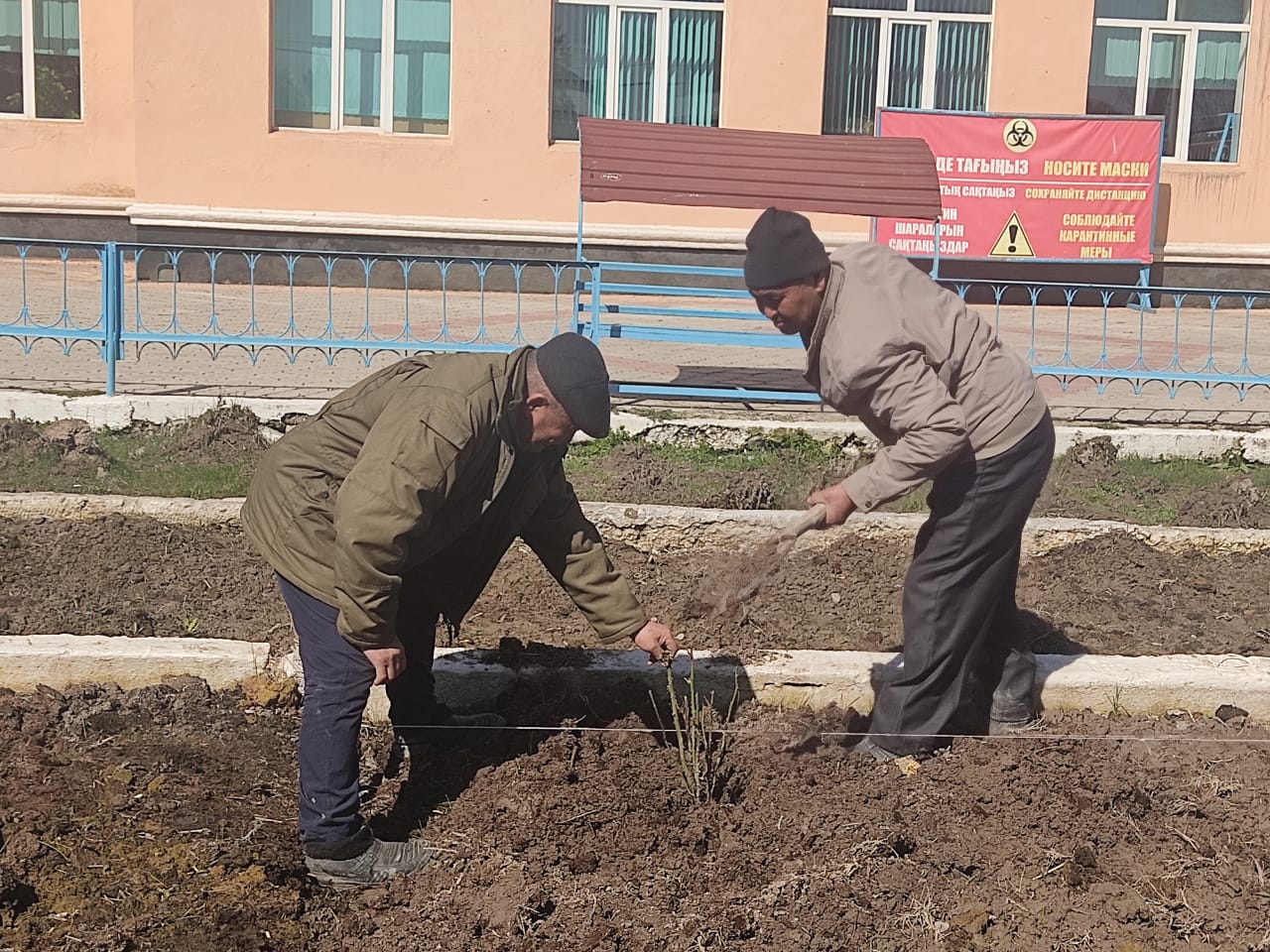Мектеп ауласын көгалдандыру