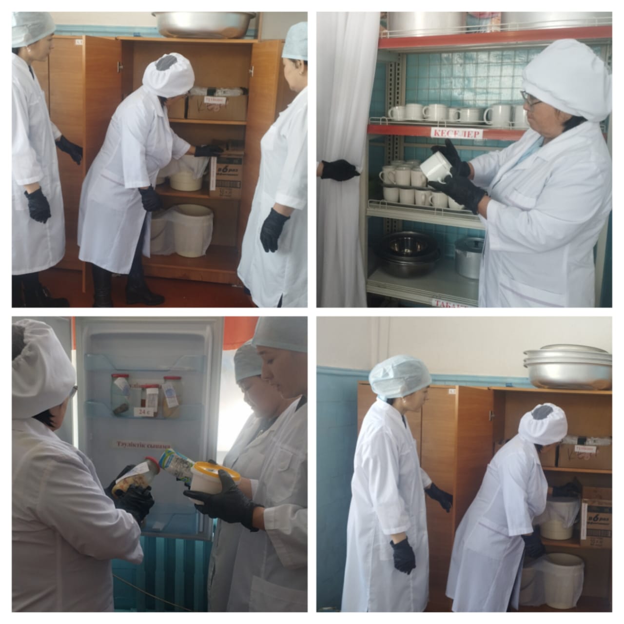 Бракераж комиссиясының мониторинг жүргізу жөніндегі жұмысы